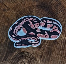 Royal ball python name tag - royal,
