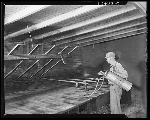 Photo 1930s man spraying - man,