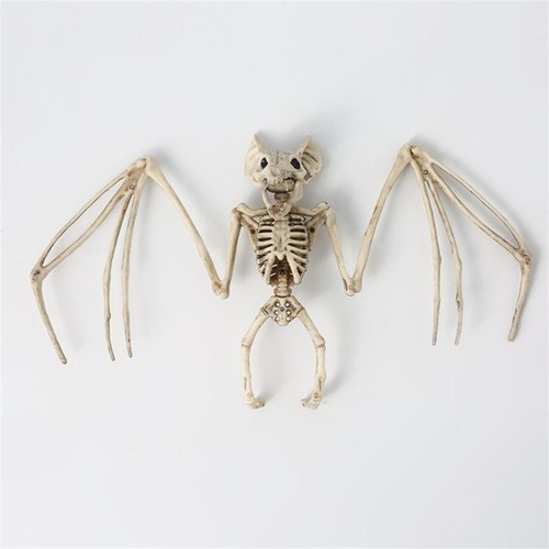 Halloween bat skeleton - halloween,