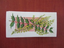 A Full set of 50 cards Flowers
