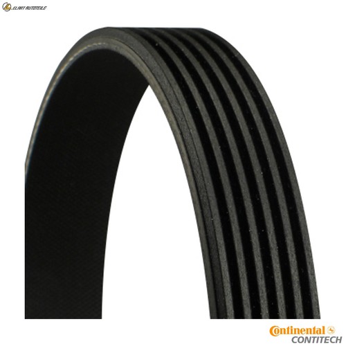 Ribbed belt 6pk1605 for - 6pk1605,
