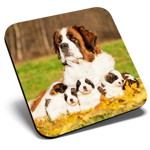 Square single coaster st - single,