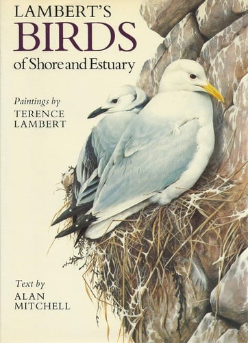 Birds shore and estuary by - birds,