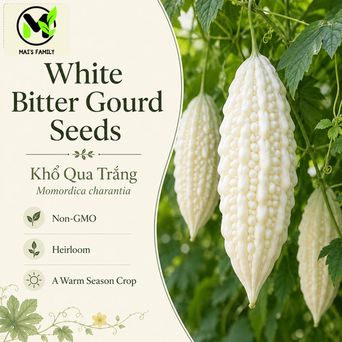 White skin bitter gourd - white,