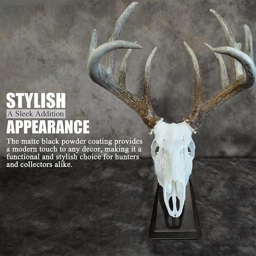 New european deer skull mount - european,