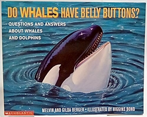 Whales have belly buttons - do,