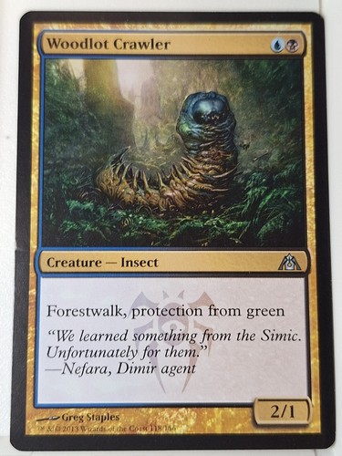Woodlot crawler dragon - crawler, dragon's