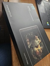 HUION Kamvas Pro 13 Graphic