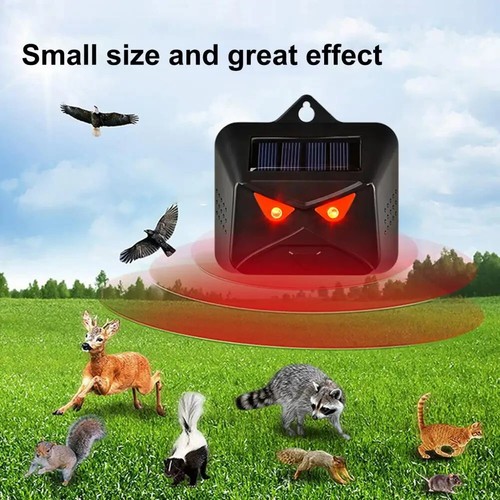 Predator eyes solar cat - predator,