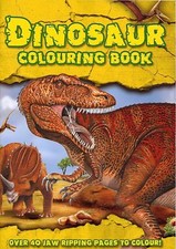 Dinosaur Colouring Book 40 Pages Childrens Jurassic Activity Fun Colour T-Rex