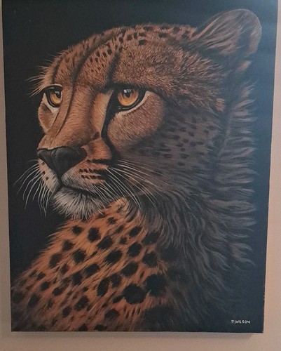 Wilson signed cheetah big - signed,