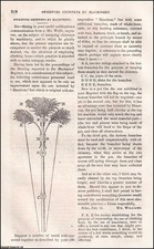 MR. THOMPSON'S MECHANICAL LADDER ; SWEEPING CHIMNEYS BY MACHINERY; THE ESTABLISH