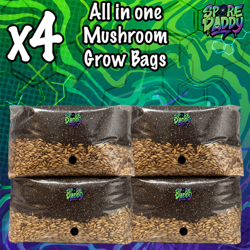 Mushroom grow bag pack - bag, |