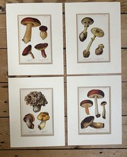 Set Of 4 Antique Mushroom