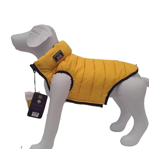 Reversible waterproof dog