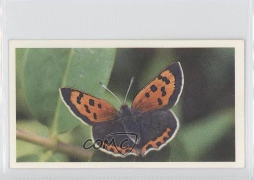 1983 grandee british - 1983,