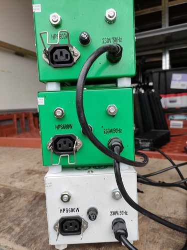 Master gear 600w hydroponic - master,