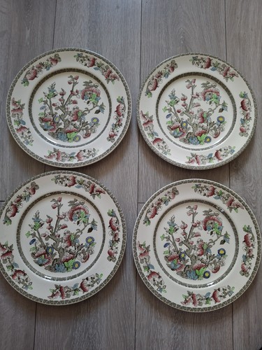 Johnson brothers indian - johnson,