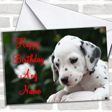 Beautiful Dalmatian Puppy Dog