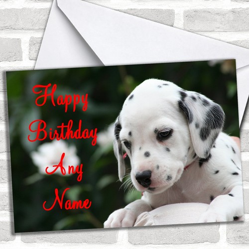 Beautiful dalmatian puppy dog - puppy,