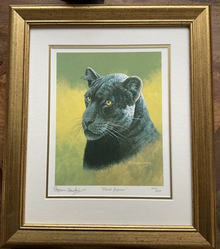 Black jaguar framed - jaguar’,