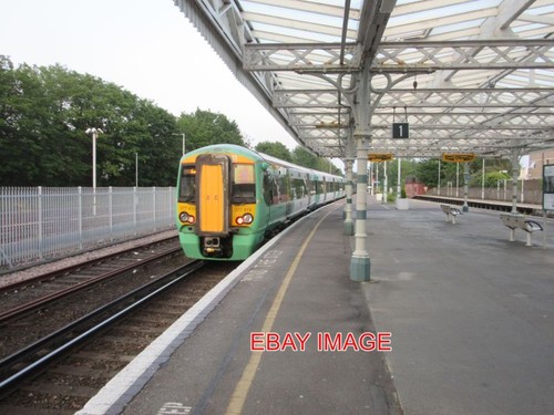 Photo southern emu 377410 at - southern,