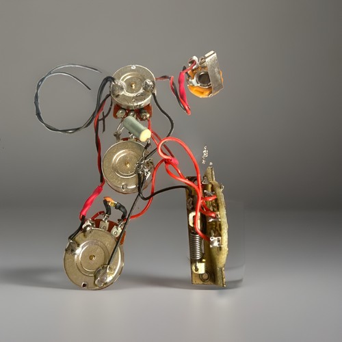 Stratocaster style custom - style,