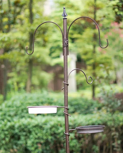 Garden bird feeding - feeding, station
