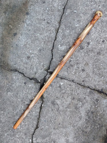 English yew shillelagh walking - english,