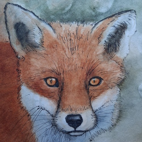 Watercolour painting red fox - painting,
