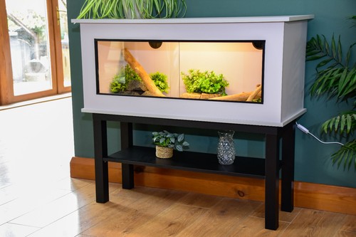 Modern light grey reptile - light, /