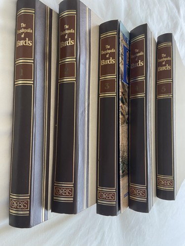 1980 the encyclopedia of - 1980's,