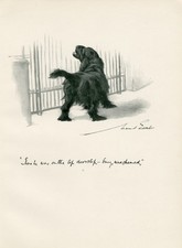 COCKER SPANIEL BARKING AT GATE