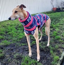 Christmas Dog Jumper for