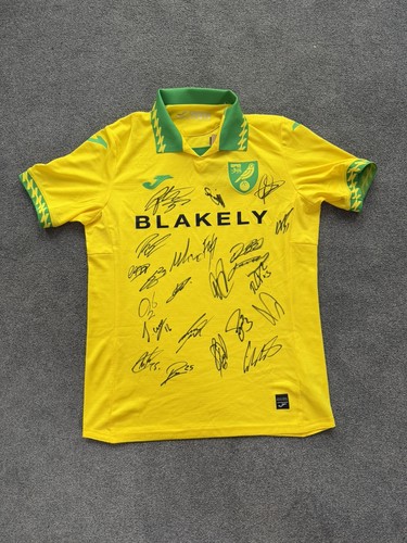 Norwich city football - city,