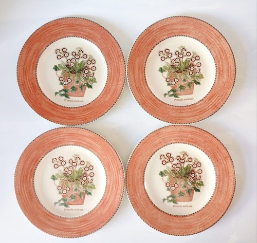Wedgwood sarah garden red - wedgwood,