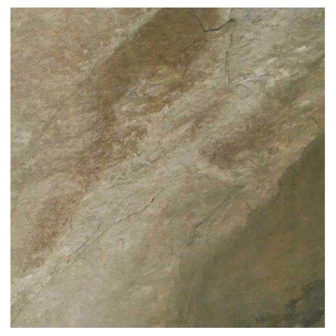 Olive porcelain slate - olive,