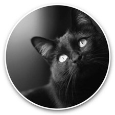 2 x Vinyl Stickers 20cm (bw) -