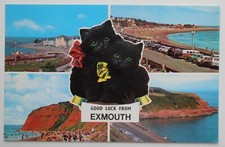 GOOD LUCK FROM EXMOUTH