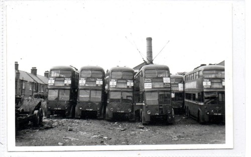 Postcard size photograph - photograph, of