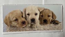 Black Chocolate Yellow