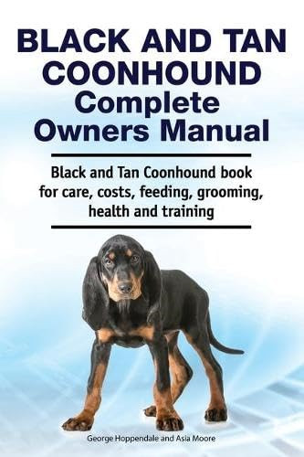 Black and tan coonhound - black,
