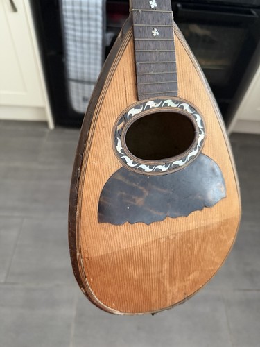 Mandolin seminade generosso - mandolin,