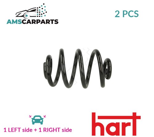 Coil spring pair set - pair,