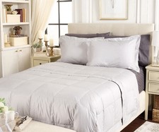 Northern Nights Shadow Dot Cotton 650FP Down Blanket Set - Queen Grey Bedding