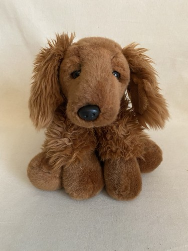 Brown cocker spaniel dog - brown,