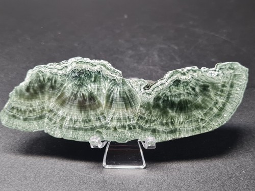 Semi polished seraphinite - semi-polished,
