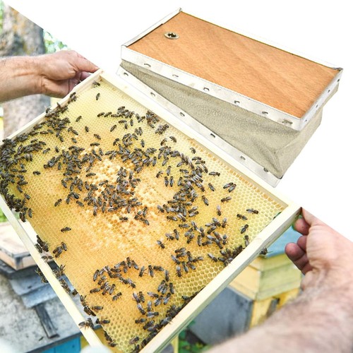Bee smoker bellow beekeeping - bellow,