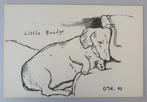 Hockney little boodge - hockney,
