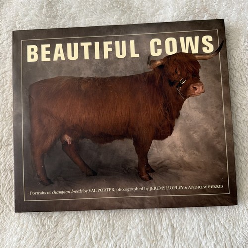 Beautiful cows book - beautiful,